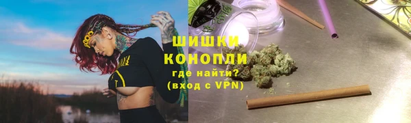 сатива Аркадак