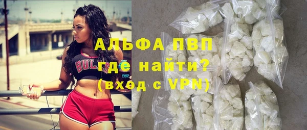 сатива Аркадак